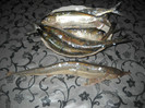 DSCN2996