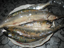 DSCN2992