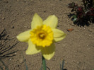DSCN2885