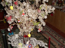 DSCN1347