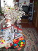 DSCN1355