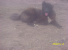 paste 2012 302