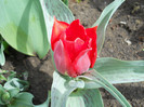 DSCN2558