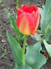 DSCN2562