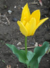 DSCN2564