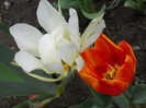DSCN2561