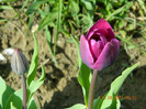 019