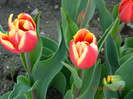 034