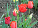 036