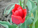 037
