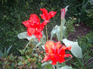 IMGP1574
