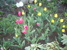 IMGP1612