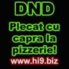 images (8)
