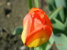 027