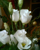 Imag040