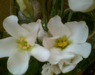 Imag047