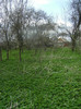 livada in verde crud 20 apl 2012