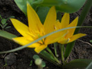 DSCN2559