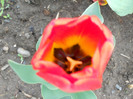 DSCN2563