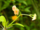 DSCN2700