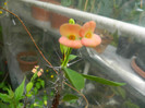 DSCN2703