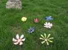 floricele pet