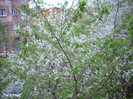 DSCN1364TOT EI MI SE PARE CA ERAM IN RAI .