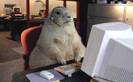 computer_animals%20%284%29