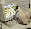 computer_animals%20%2810%29