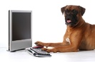 computer_animals%20%2816%29