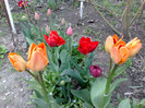 18042012