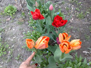 18042012
