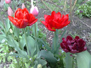 19042012