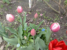 19042012