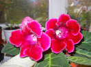 DSCN2433