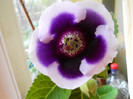 DSCN2430