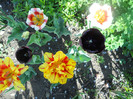 DSCN2438