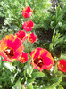 DSCN2440