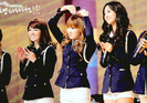 tumblr_llpzd5pO8U1qhwy7ko1_500_large