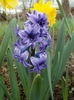 DSCN0318_resize