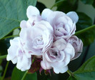 P1380577