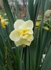 DSCN0312_resize