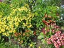 DSCN2451