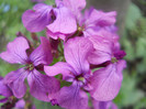 DSCN2457