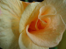 DSC05873