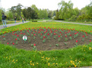 DSCN3196