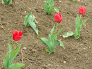 DSCN3198