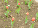 DSCN3205