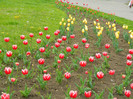 DSCN3206