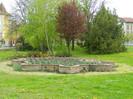 DSCN3207